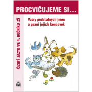 Procvičujeme si Vzory podstatných jmen a psaní jejich koncovek