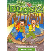 Big Bugs 2 Flashcards