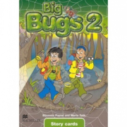 Big Bugs 2 Story Cards