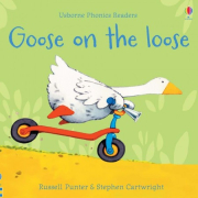 Usborne Phonics Readers Goose on the Loose