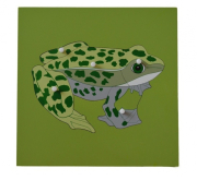 Puzzle s kostrou - žába
