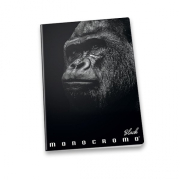 Monocromo Black školní sešit A5 linkovaný mix motivů