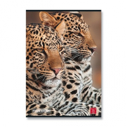 Animal školní sešit A4 linkovaný mix motivů