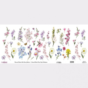 Rýžový papír Cadence v roli 30 x 68 cm - Herbář