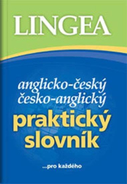 Praktický anglický slovník k maturitě