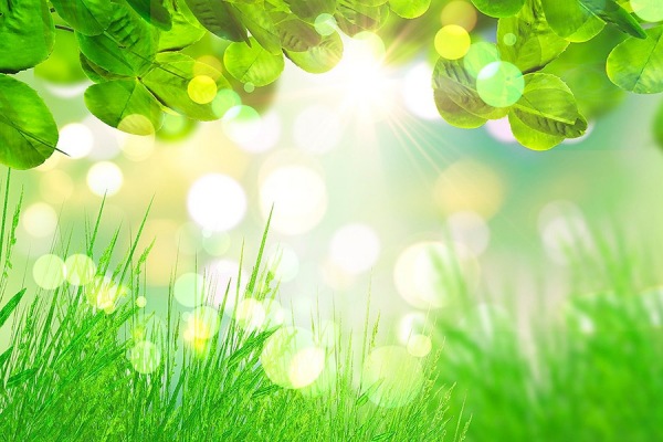 Jarní tvoření s dětmi